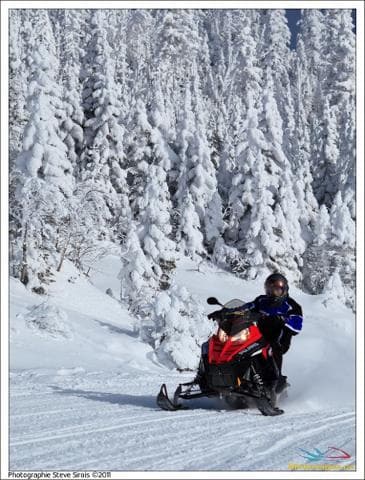 2011 Polaris 800 Rush :  Polaris is strongly back on the trails