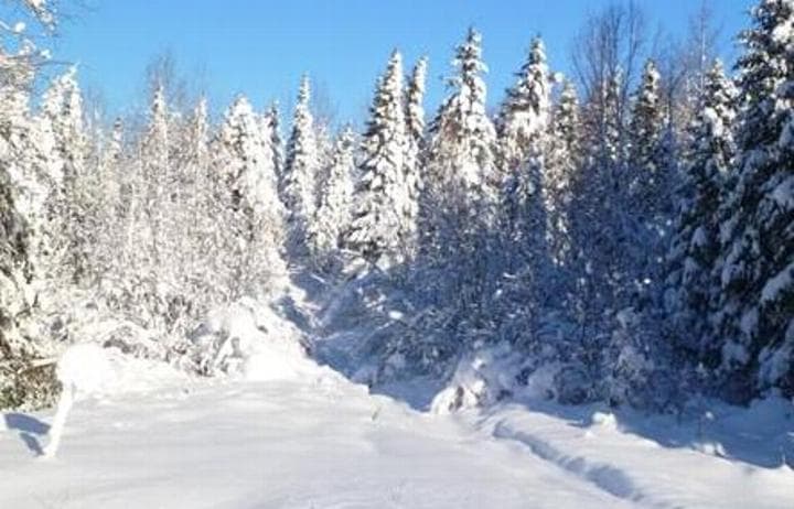 Some snowmobilers don’t stay on trails