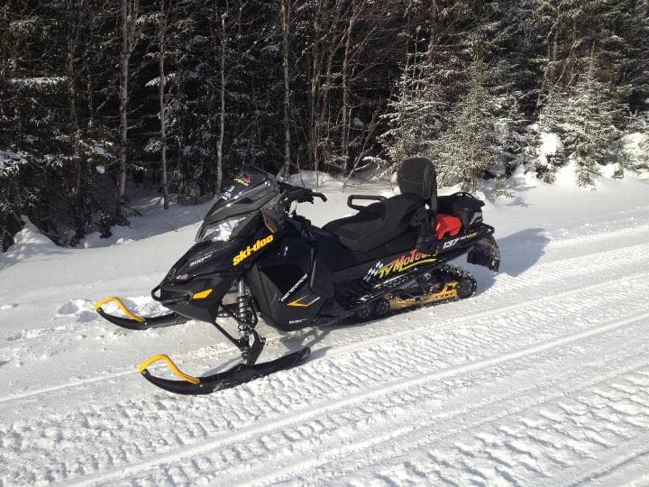 Renegade Adrenaline ACE 900 : pre-ride analysis