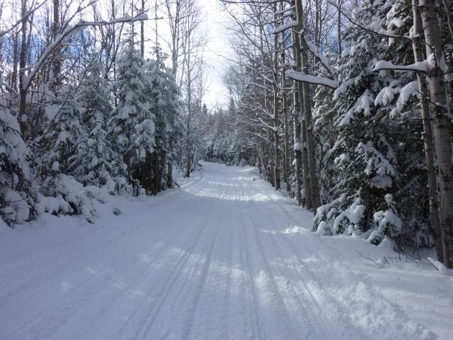 Snowmobiling and noise: one problem, many solutions
