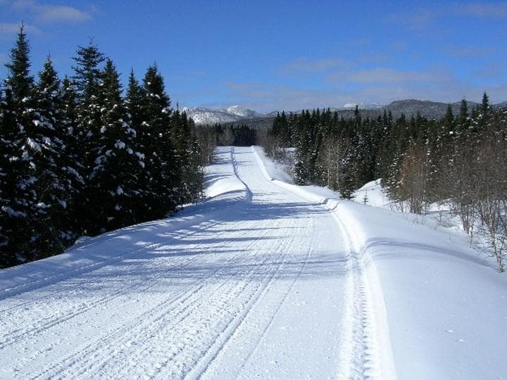 Polaris 800 Switchback PRO-R LE, Year end report