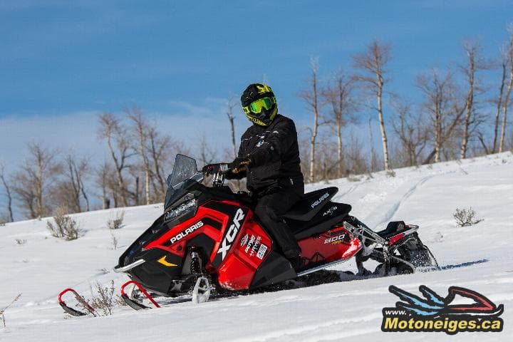 2017 Snow Shoot best picks