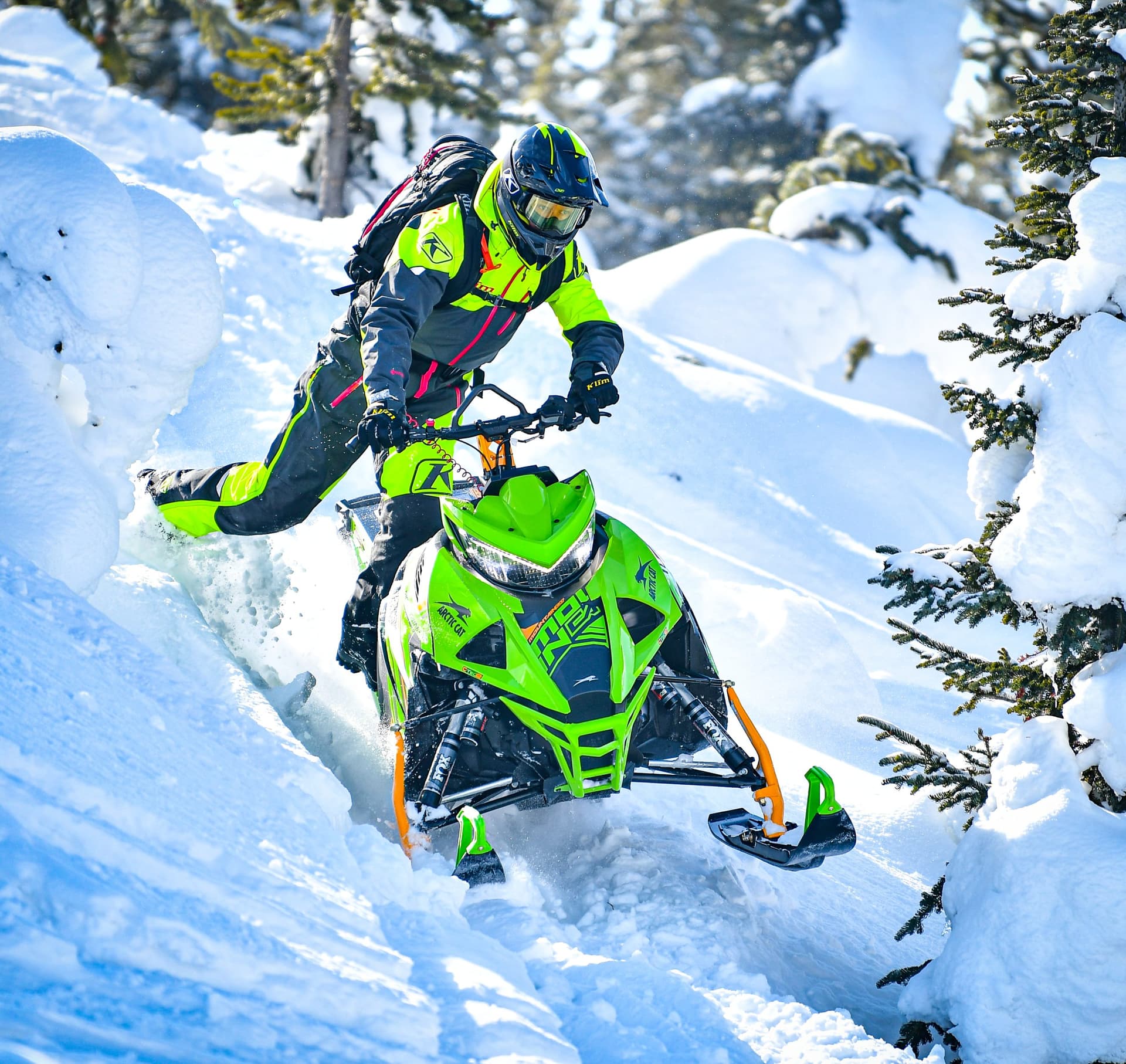 Arctic Cat Mountain Cat M8000 154 with ATAC