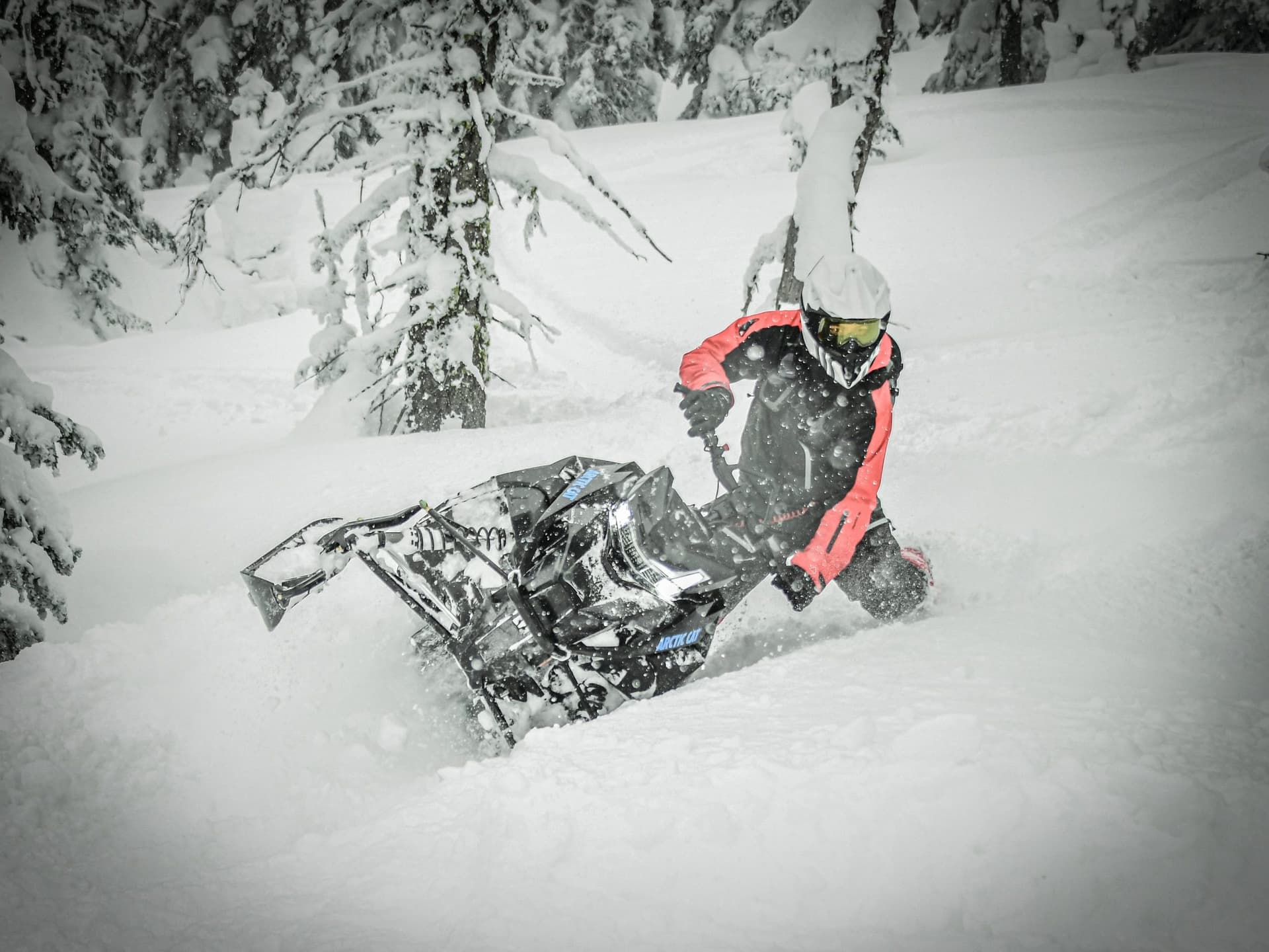 Mathieu’s Arctic Cat Snowmobile pick for 2024