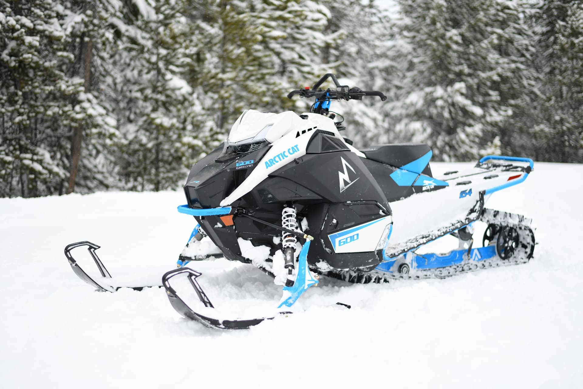 Why is the Arctic Catalyst 600 MTN so popular in the mountains?