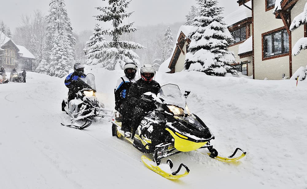 Les Chalets Alpins