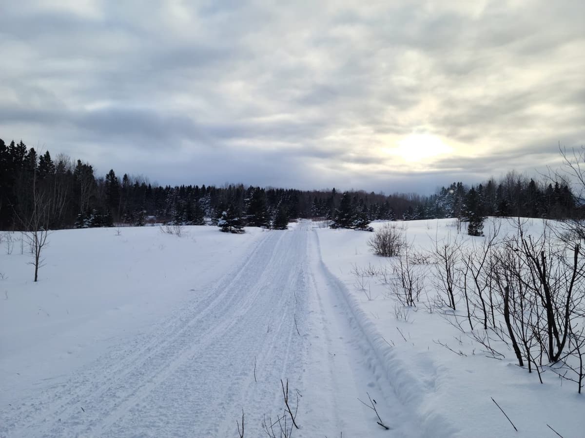 Un début de saison de motoneige qui fait du bien - a refreshing start of the snowmobiling season