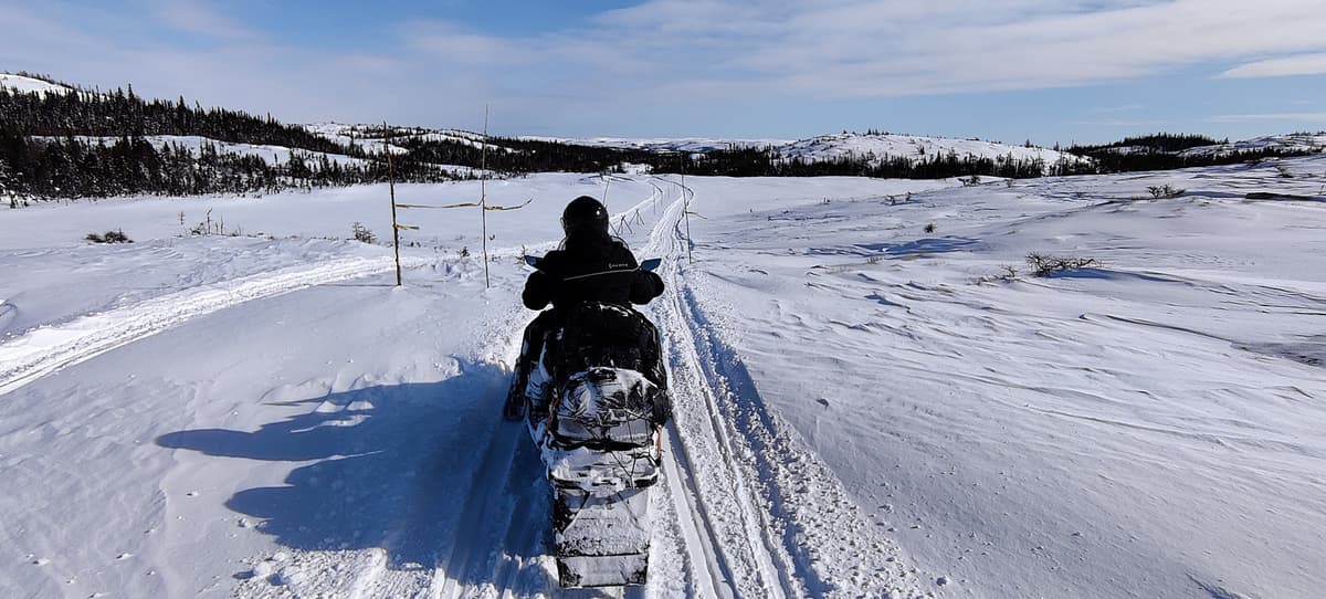 Back on the White Road