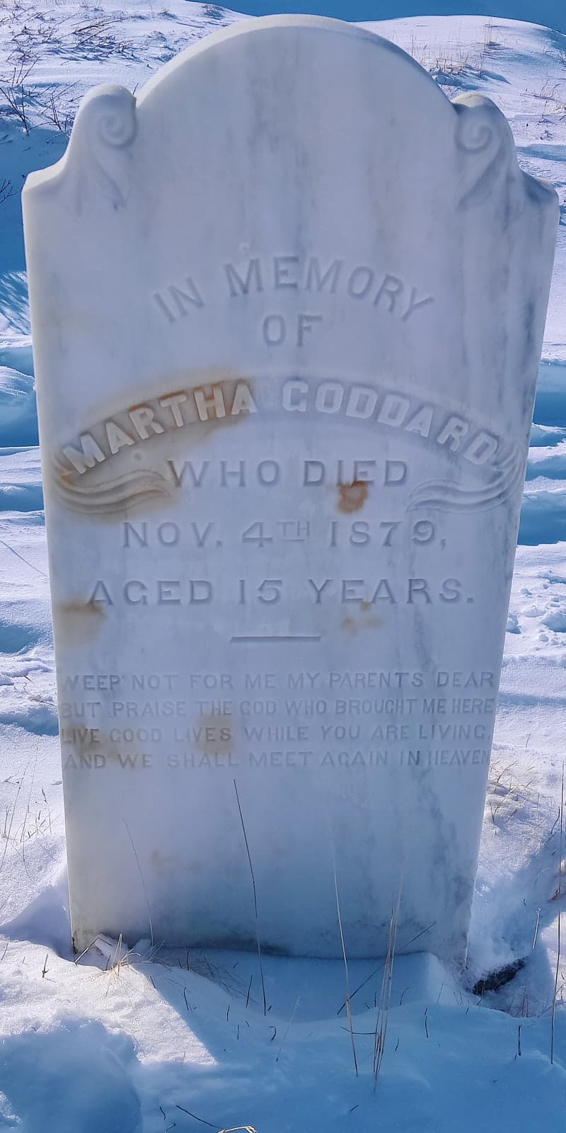 In memory of Martha Goddard, who died November 4, 1879 at age 15