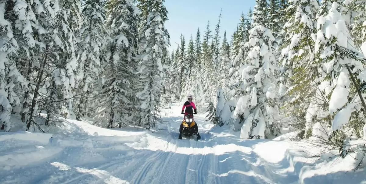 SledMagazine.com: Alliance touristique Saguenay