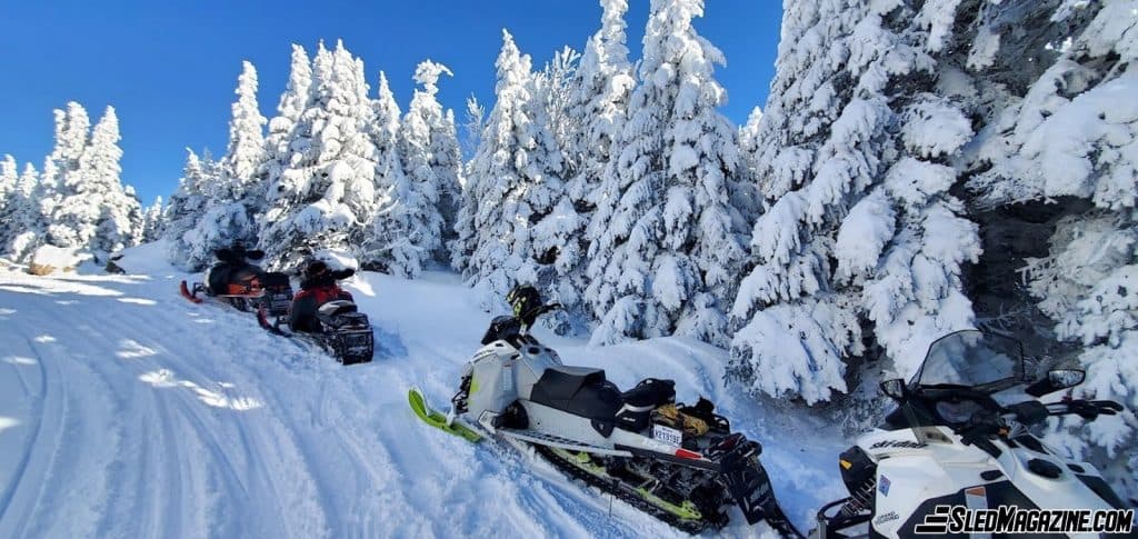 Ski-Doo Freeride