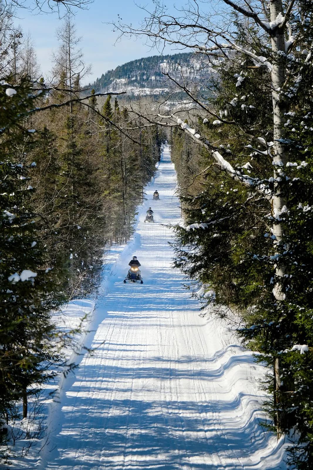 Snowmobilers on a snowy trail in the Abitibi-Témiscamingue forest.
