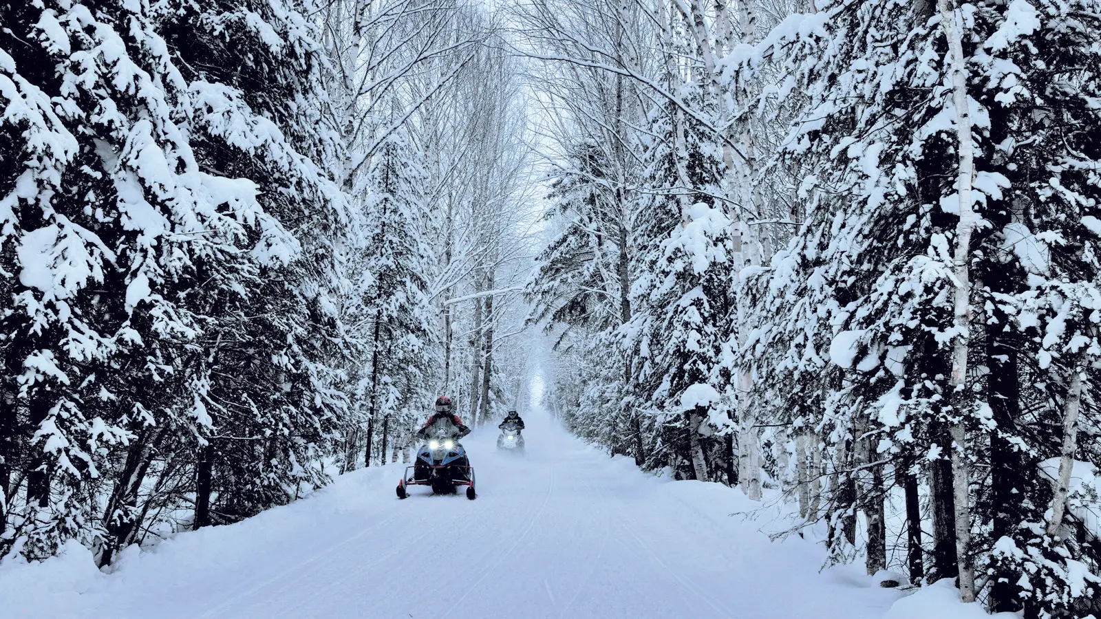 Snowmobilers ride snow-covered snowmobile trails surrounded by forests in Québec.