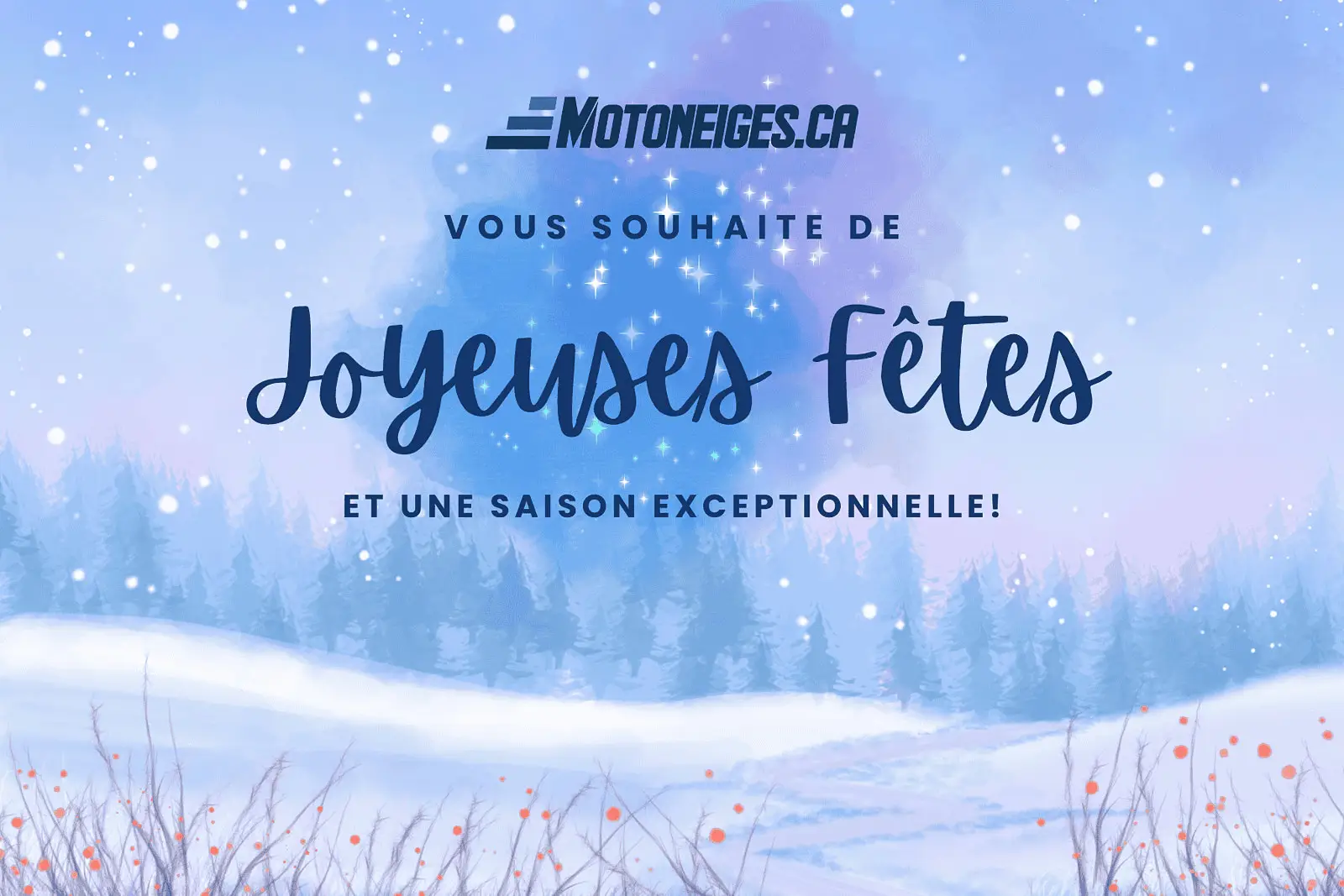 Joyeux temps des Fêtes et bonne saison de motoneige 2025 ! Magazine